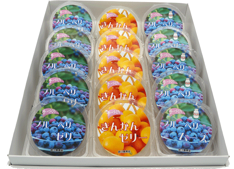 ゼリーセットB あすくーる入来